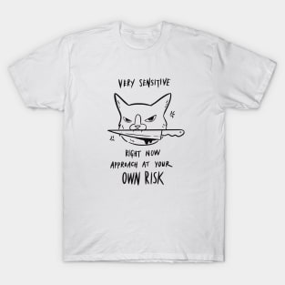 Very Sensitive Right Now, Approach At Your Own Risk T-Shirt